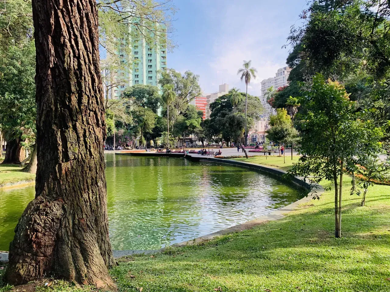 vista parcial de curitiba