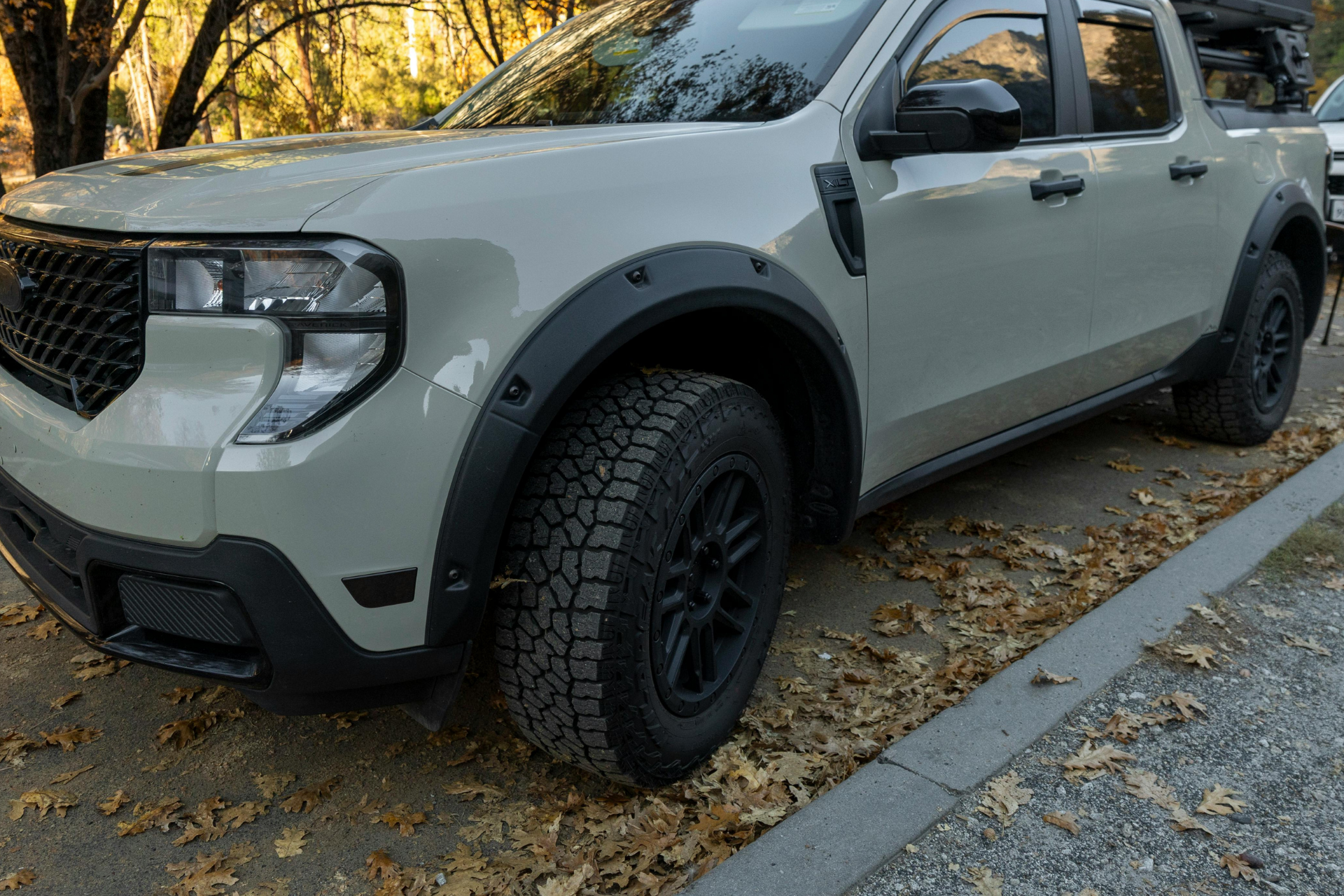 Tan pickup truck with black fender flares and tires parked on a curb with fallen leaves.