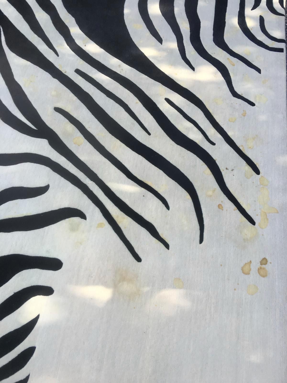 A black and white zebra print on a white surface