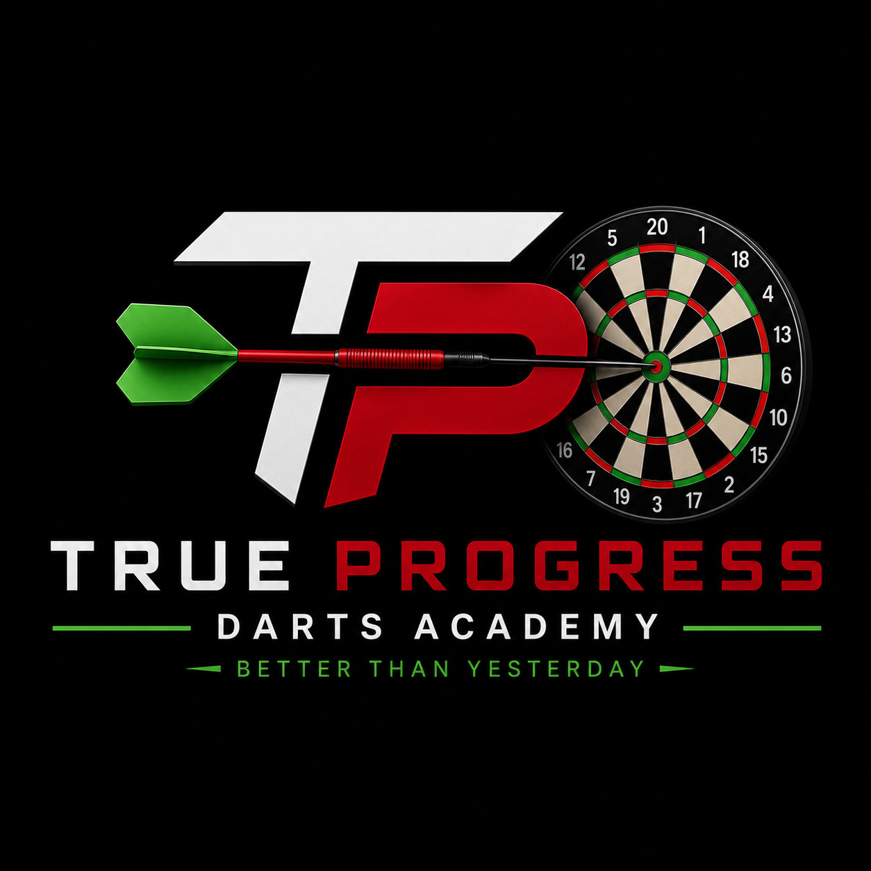 Double Top Darts Coaching logo