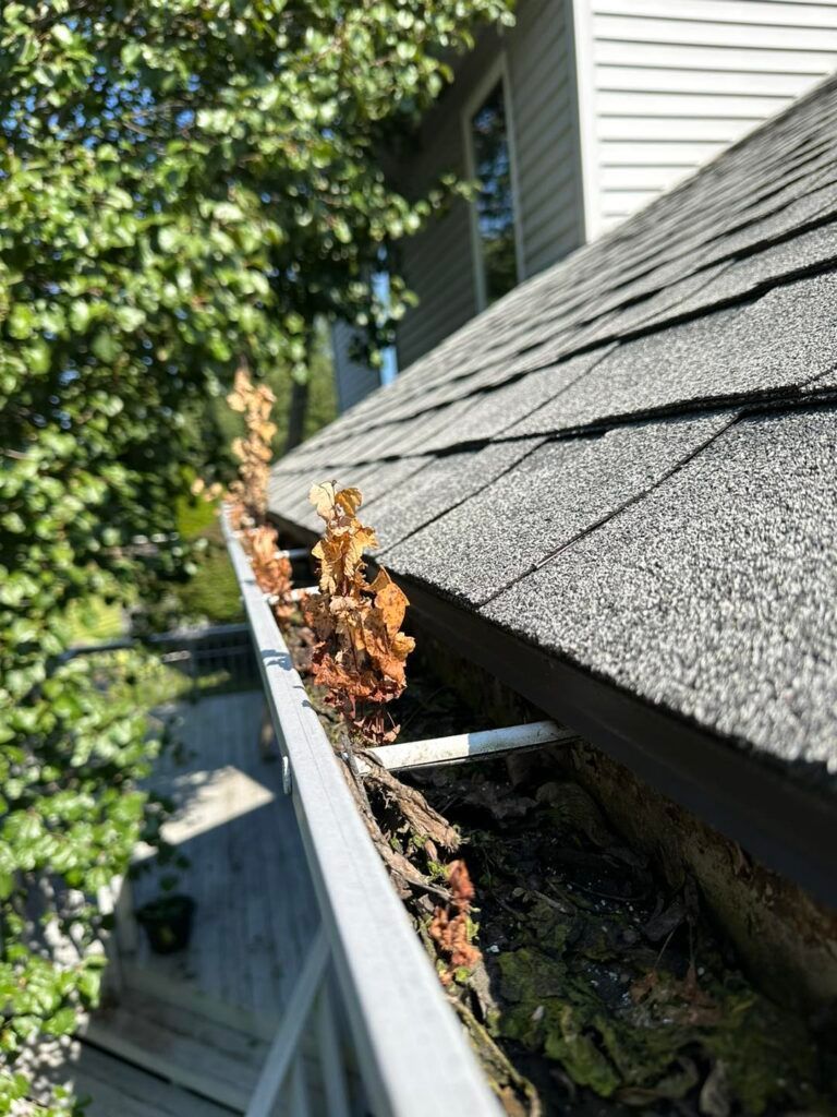 A close up of a gutter on the roof of a house.