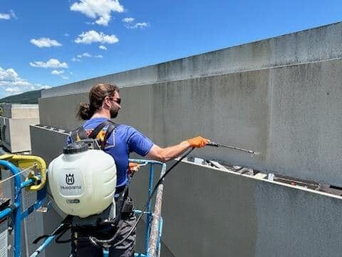 A man is spraying a wall with a backpack sprayer.