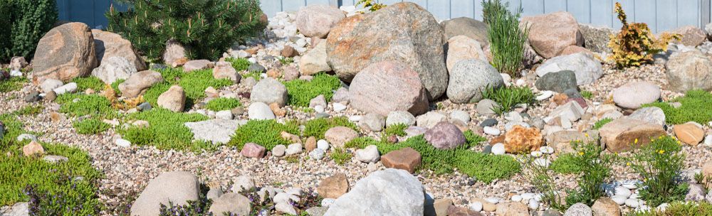 Garden Enhanced with Rocks — Craig’s Lawn Mowing and Garden Maintenance in Gymea