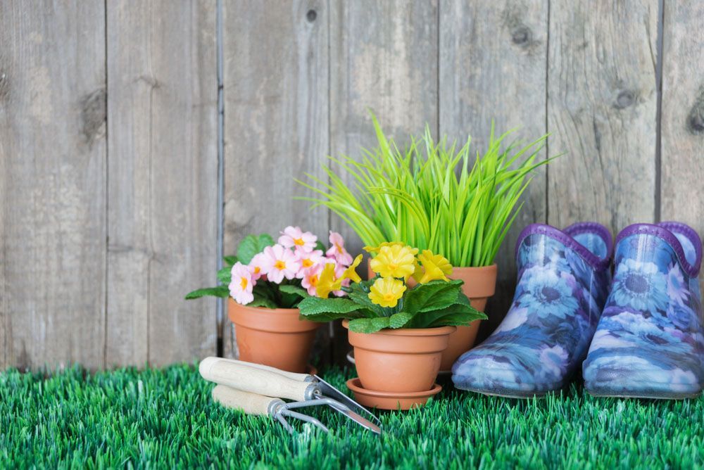 Pair Of Boots Next To Plants — Craig’s Lawn Mowing and Garden Maintenance in Gymea