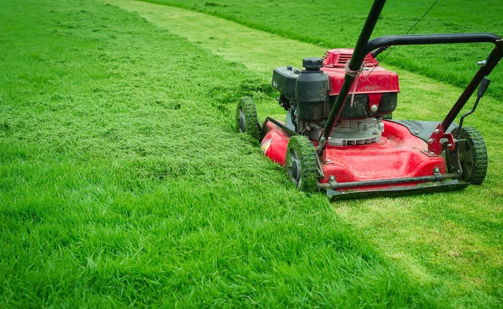 Red Lawnmower Cutting a Strip of Green Grass — Craig’s Lawn Mowing and Garden Maintenance in Miranda, NSW
