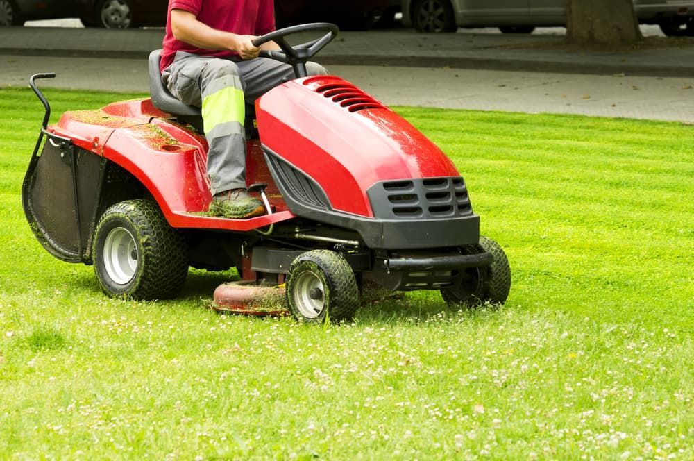 Person on a Red Riding Lawn Mower Cutting Grass — Craig’s Lawn Mowing and Garden Maintenance in Kirrawee, NSW