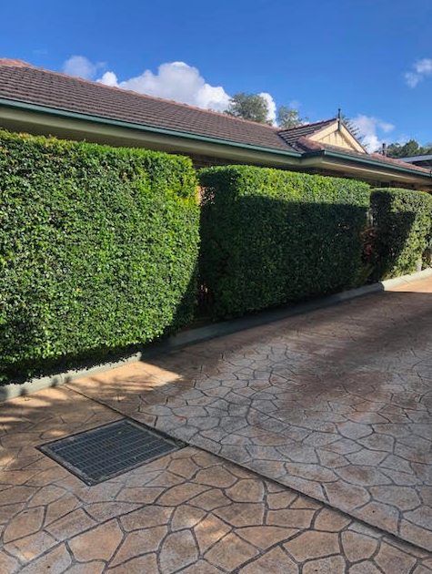 Building With Lots Of Windows And Bushes — Craig’s Lawn Mowing and Garden Maintenance