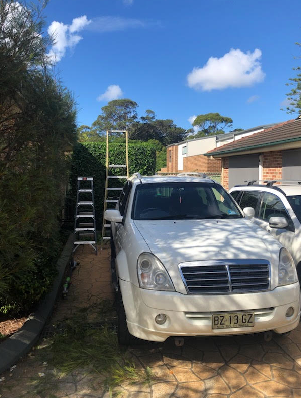 Red Lawn Mower On A Green Lawn — Craig’s Lawn Mowing and Garden Maintenance