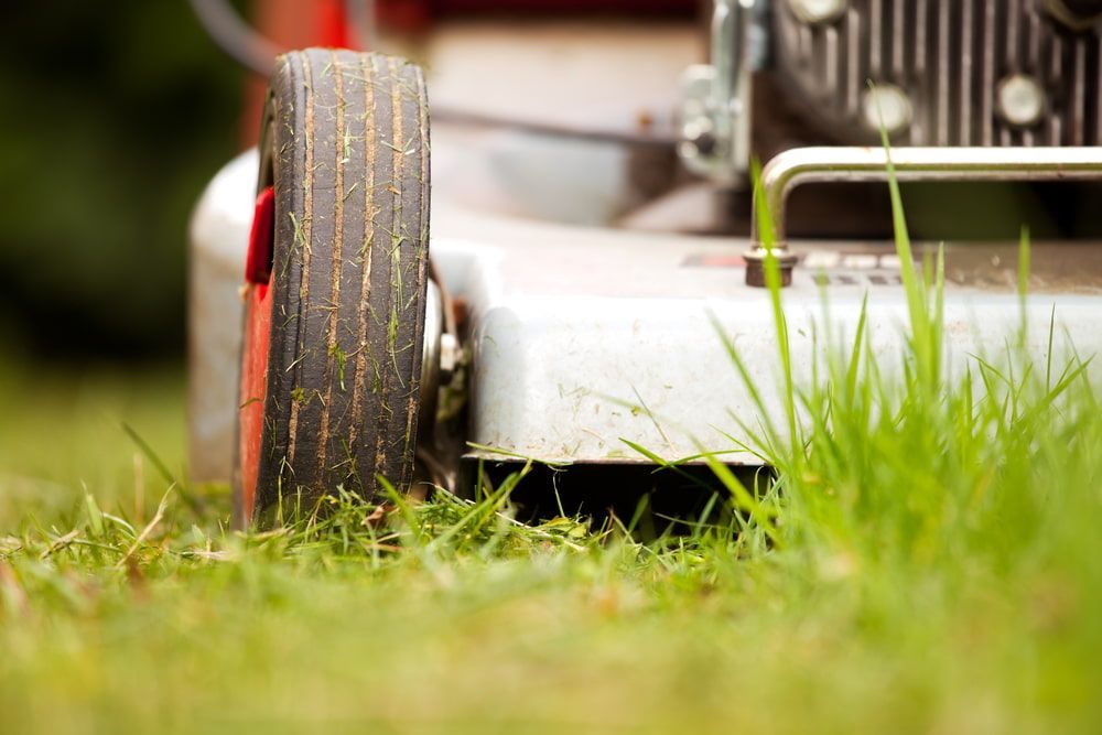 Lawnmower Wheel on Grass, Close-up View — Craig’s Lawn Mowing and Garden Maintenance in Caringbah, NSW 
