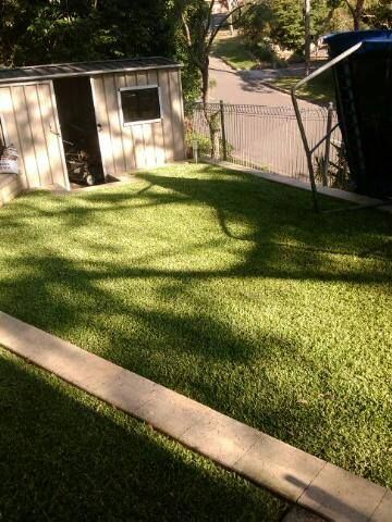 Tranquil Green Lawn Surrounding a Centrally Positioned Shed — Craig’s Lawn Mowing and Garden Maintenance