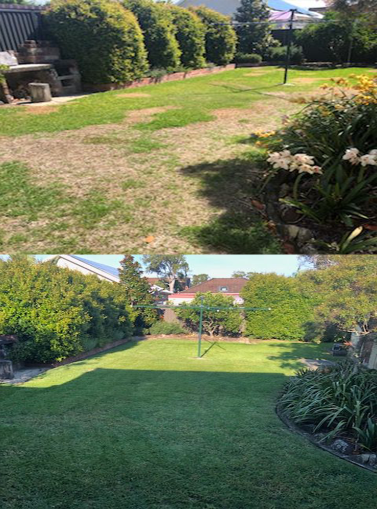 Transformation of a Garden: Before and After — Craig’s Lawn Mowing and Garden Maintenance