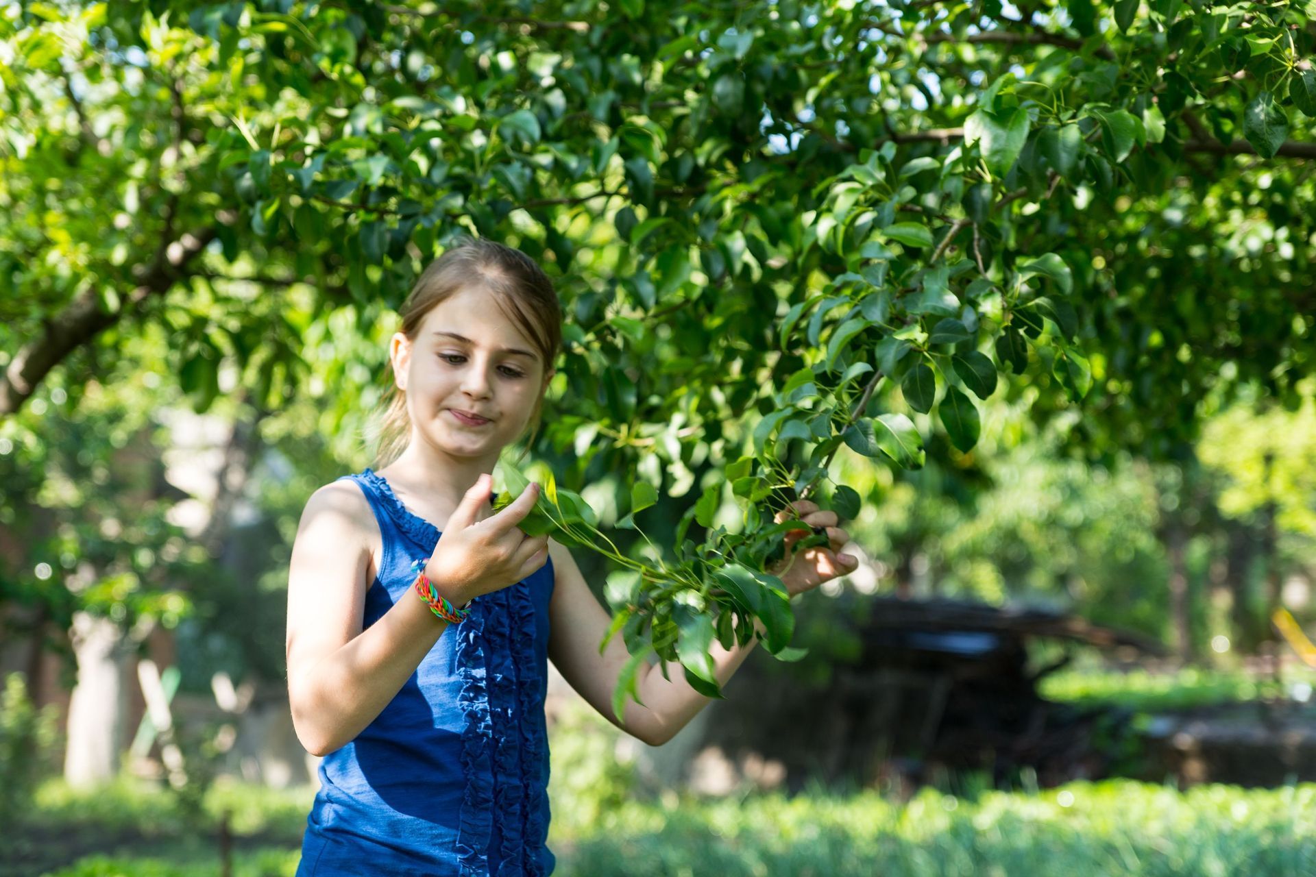 young girl inspecting leaves on a tree