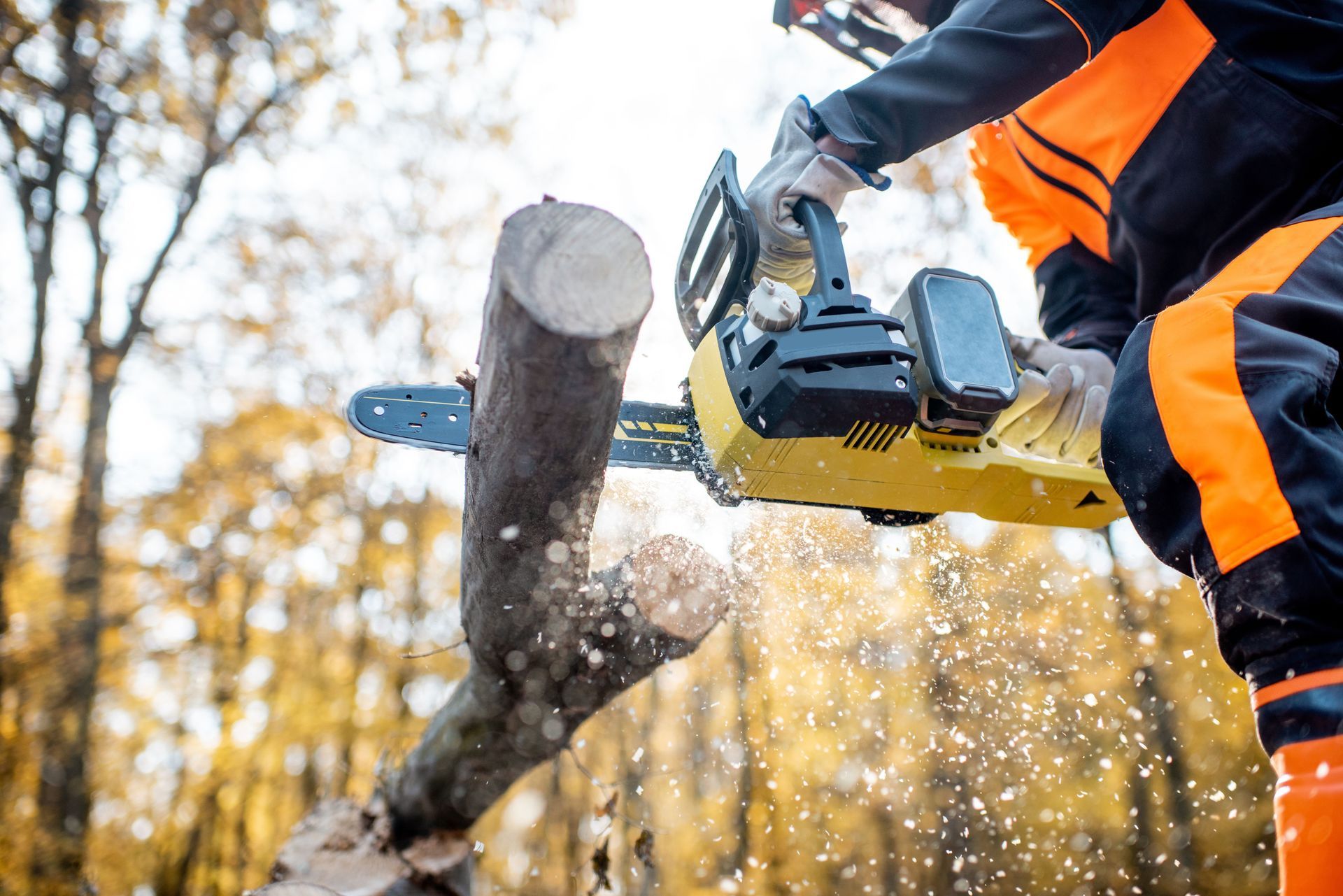 man chainsaw a small fallen limb