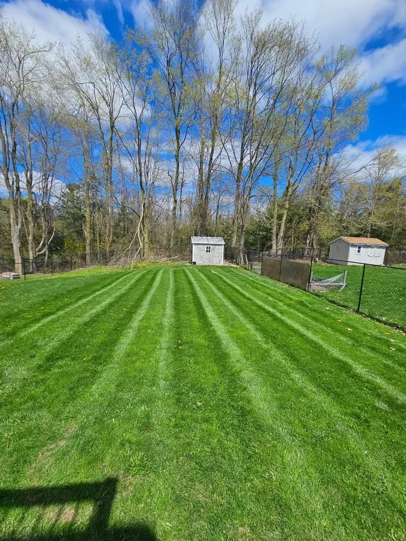 Lawn with striped pattern, mowed green grass, small sheds in the background, blue sky with white clouds.