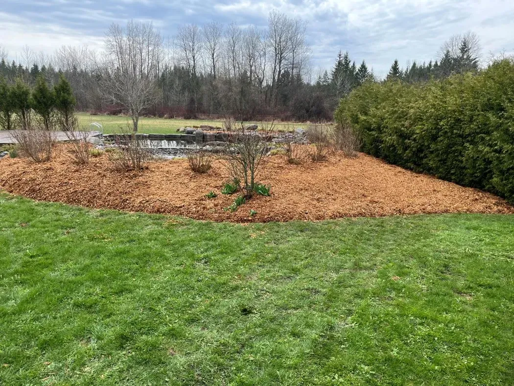 Grassy lawn bordering a garden bed mulched with brown material, pond in the background, trees under an overcast sky.