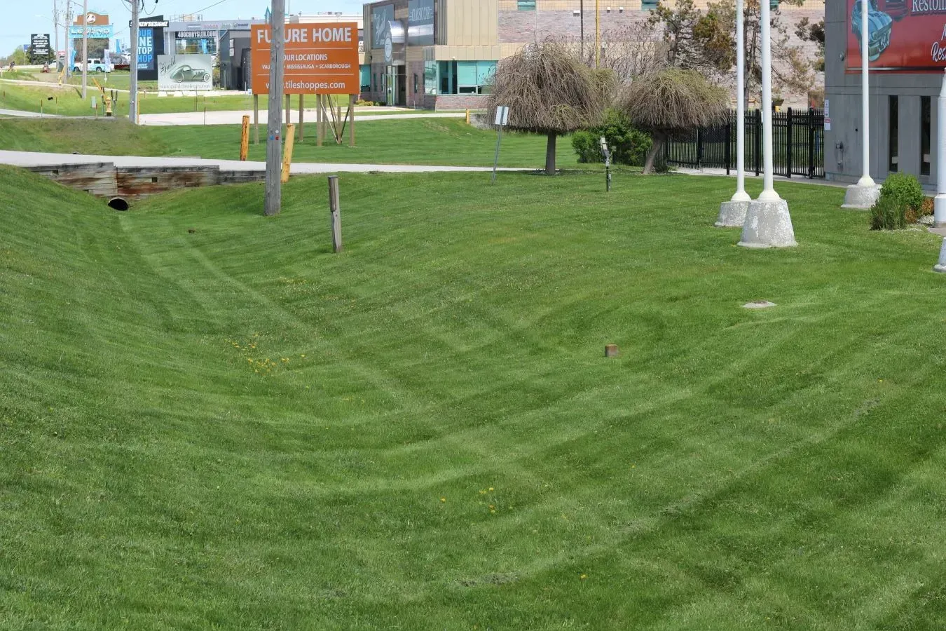 Green lawn with diagonal mowing pattern; buildings in the background.