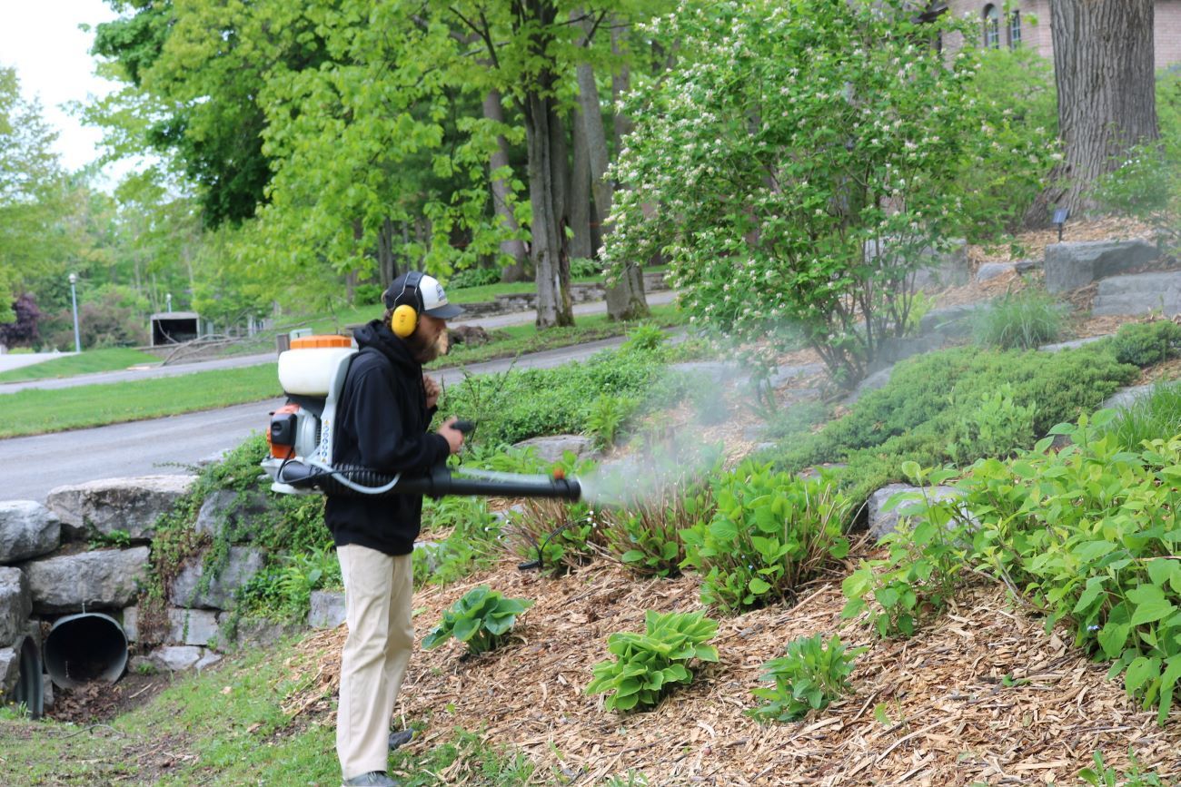 Person using a backpack leaf blower on a landscaped hillside, blowing debris. Green foliage and trees in background.