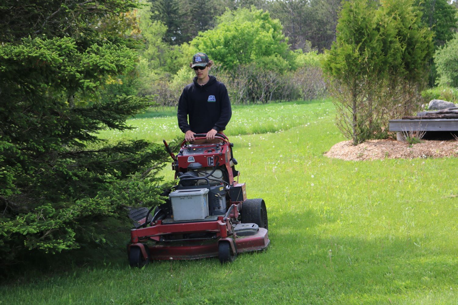 Person mowing a green lawn with a red riding mower near a tree in a sunny yard.
