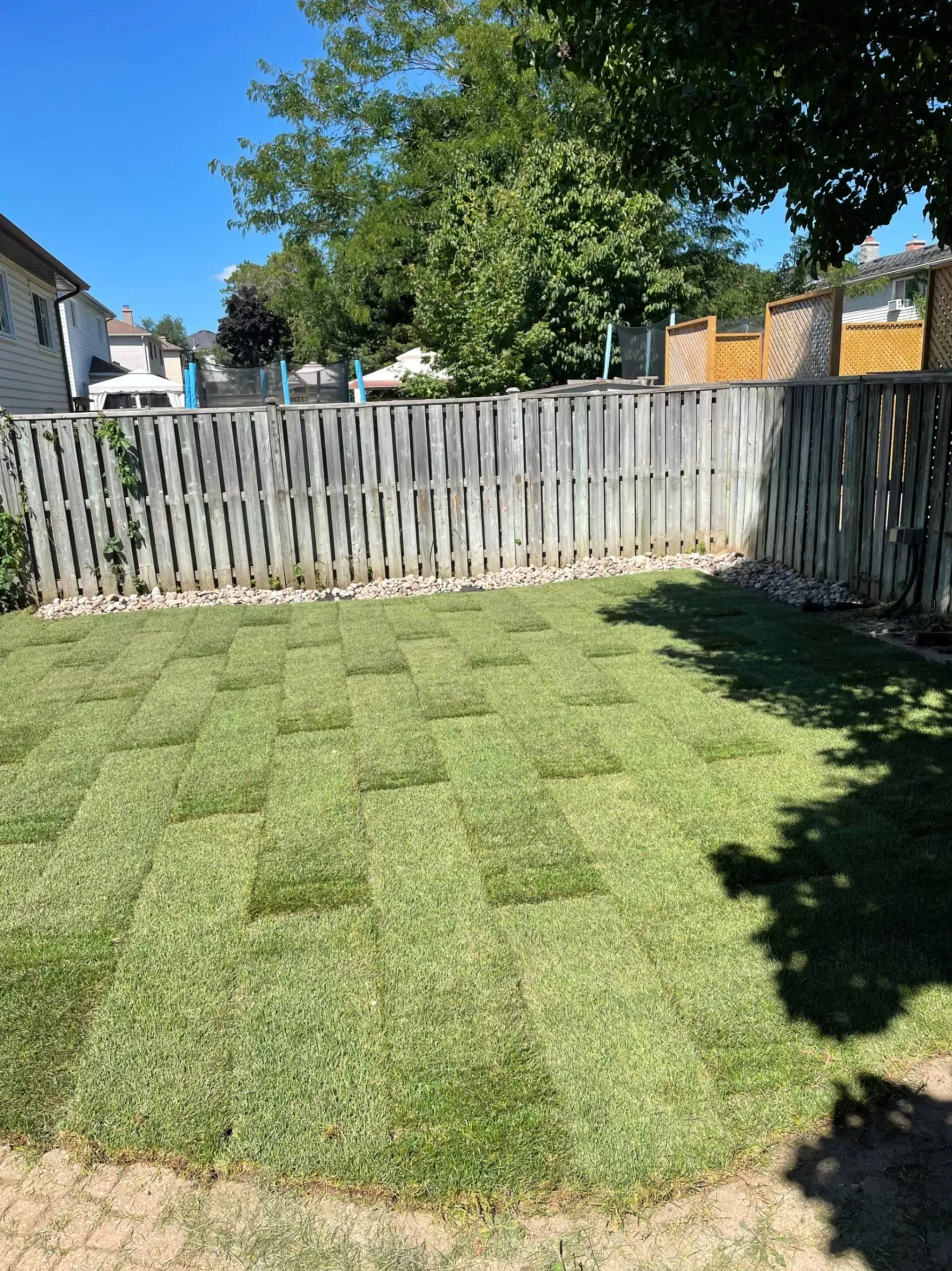 Green squares of newly laid grass in a backyard with a wooden fence and trees.