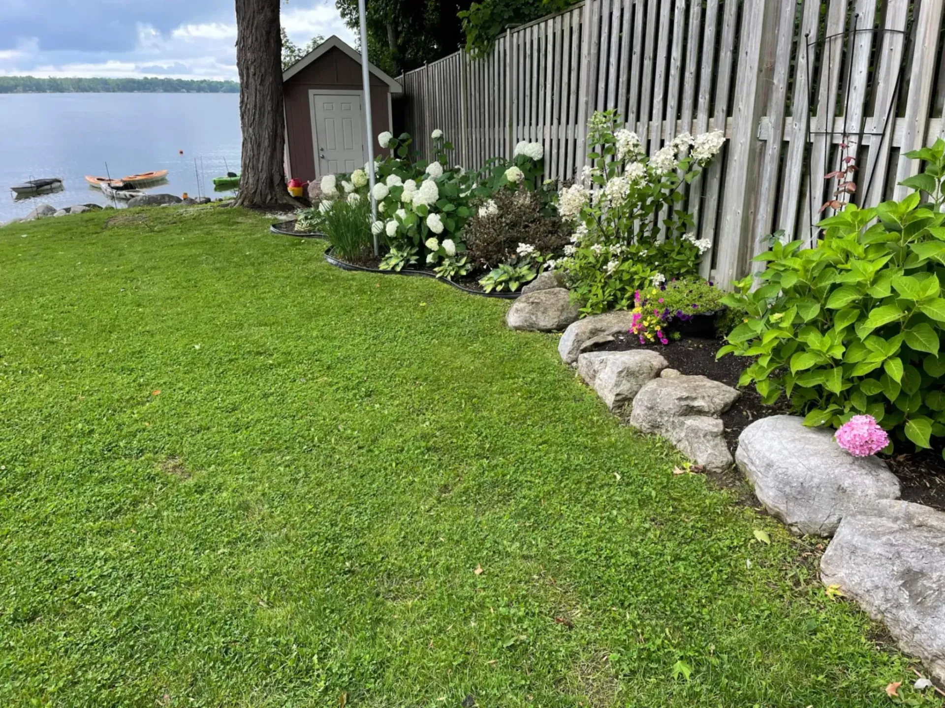 Lush green lawn borders a rock garden with white flowers, next to a wooden fence and the water.