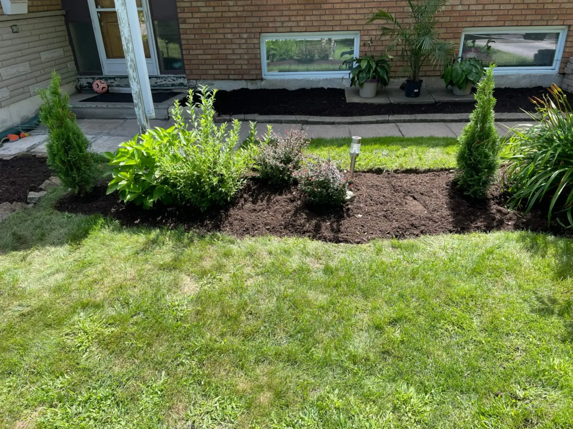 Front yard garden bed with various green plants and dark mulch.