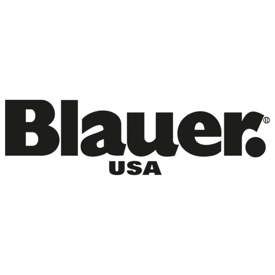 logo blauer