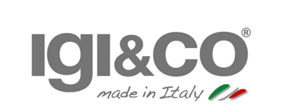 logo igi&co