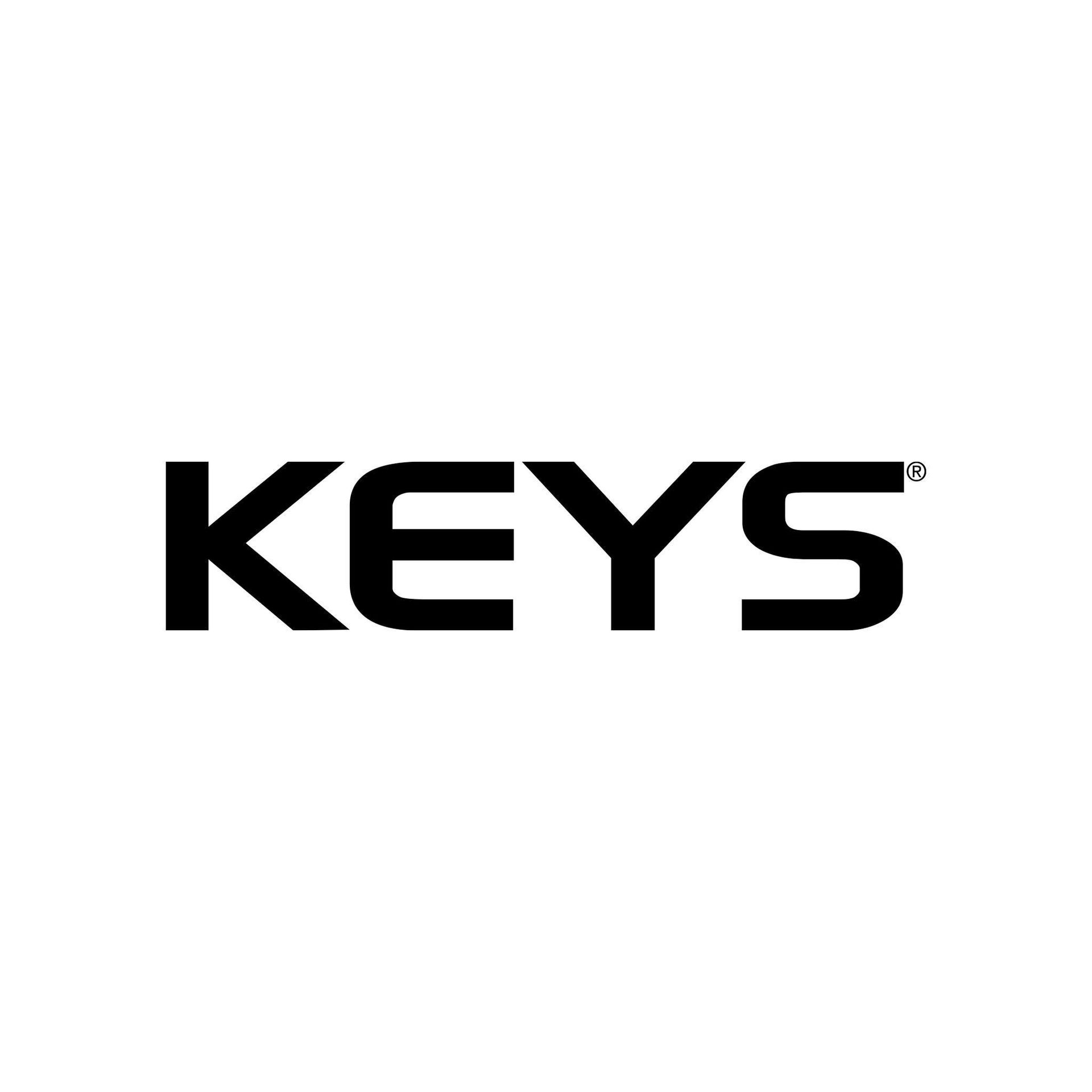 logo keys