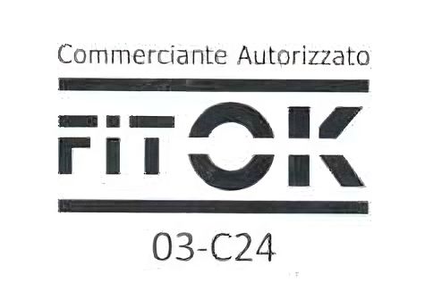 Un logo in bianco e nero per un'azienda chiamata fitok.