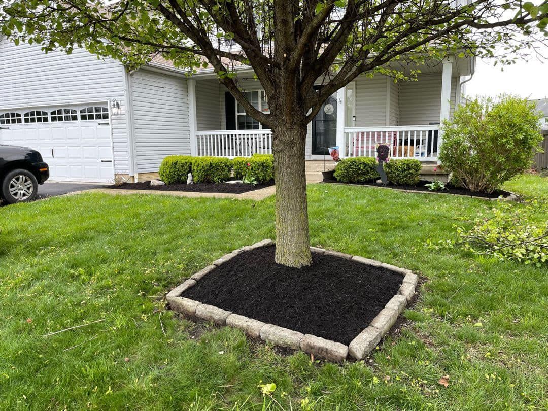 A tree in the middle of a lush green lawn in front of a house.