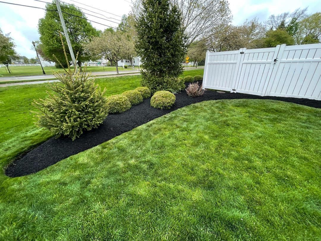 A lush green yard with a white fence and black mulch.