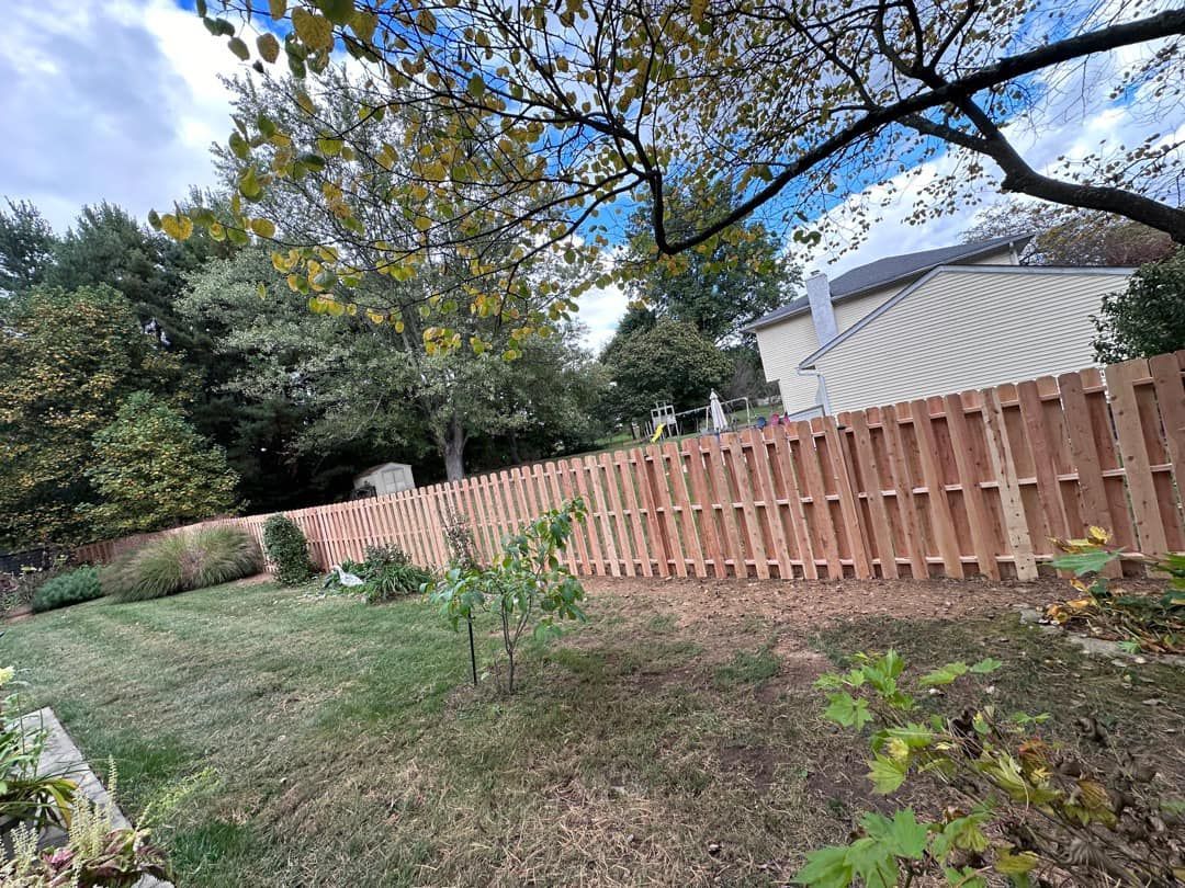A wooden fence is surrounded by trees and grass in a backyard.