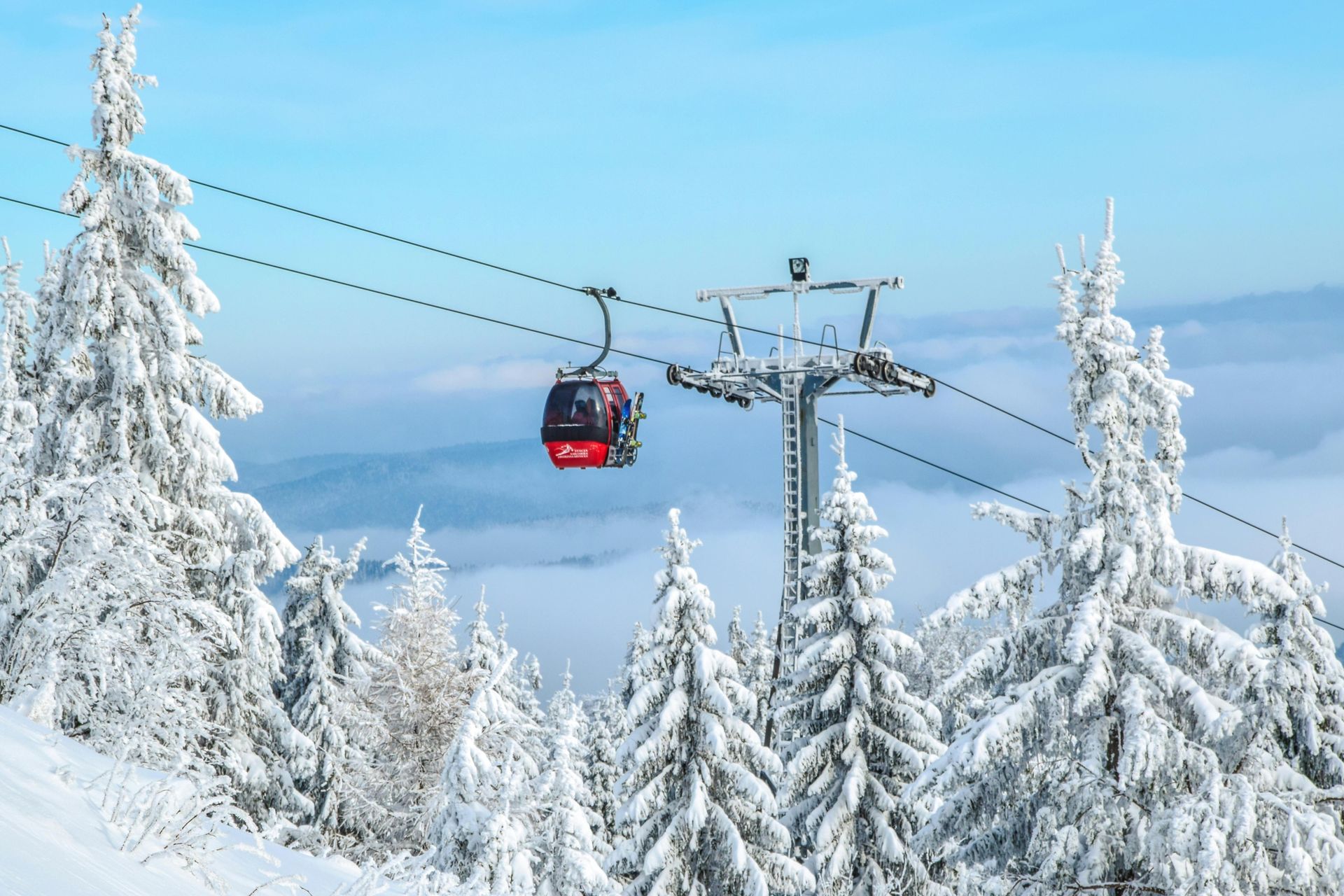 Revolutionizing Ski Resort Customer Service: The Ikon Pass Virtual Call Center