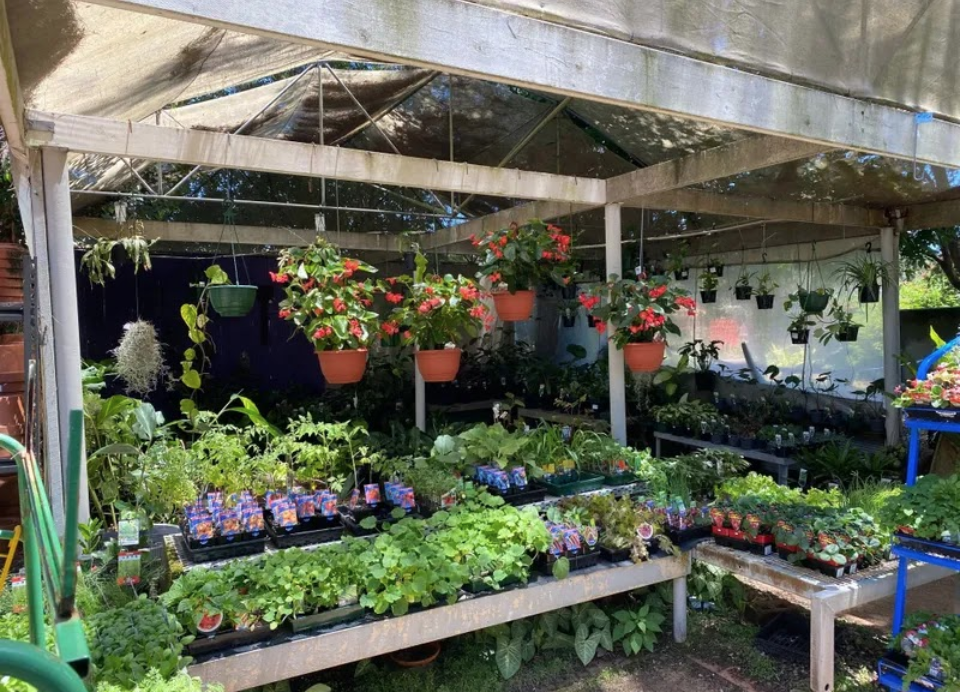 Sand Pile — Leading Nursery in Port Stephens