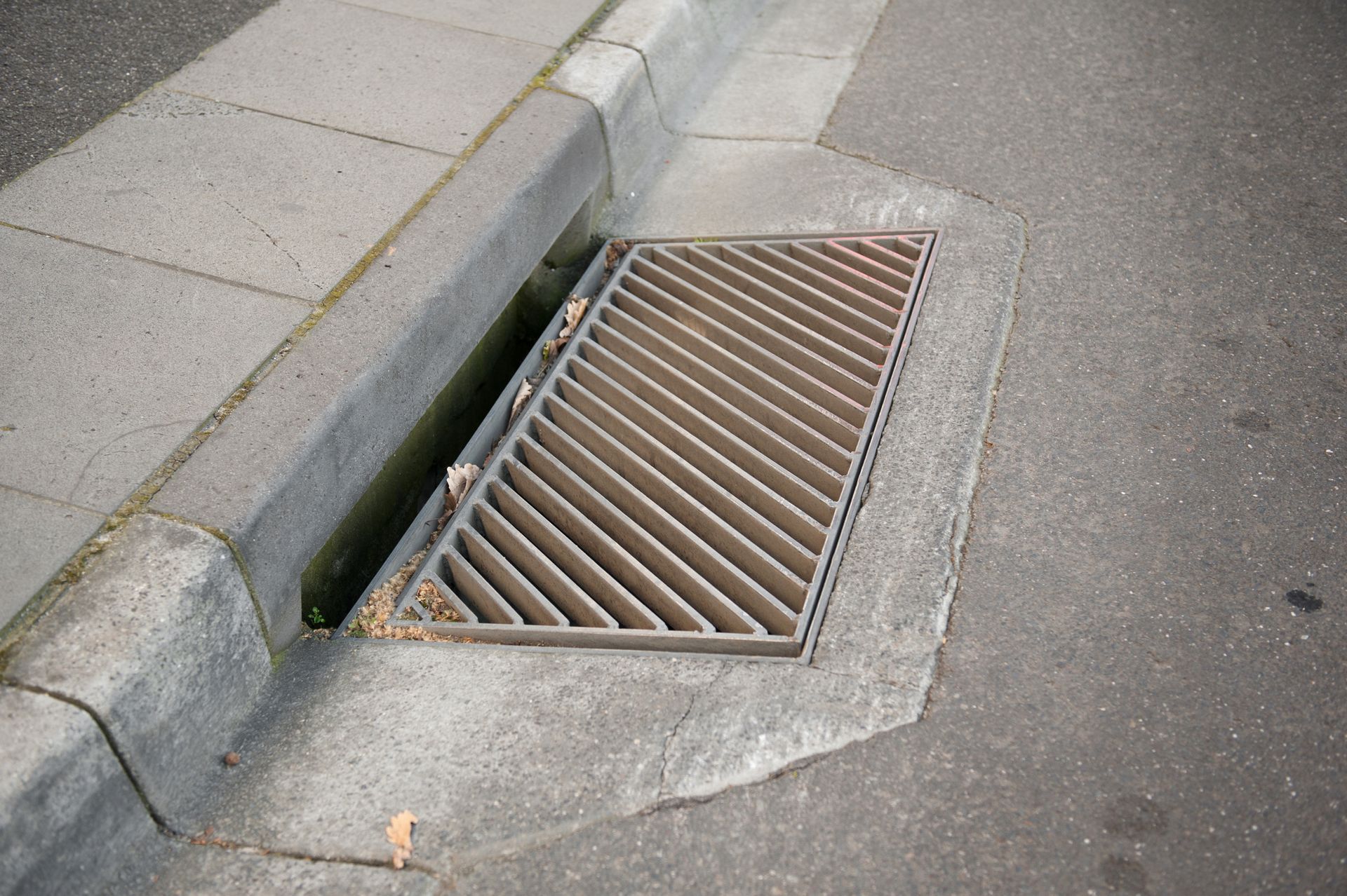 A metal storm drain grate set into the concrete curb of an asphalt street.