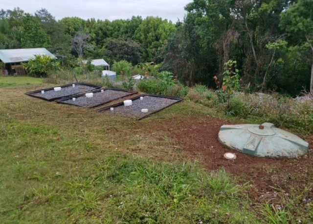 Septic system components in a grassy yard with a building and trees in the background.