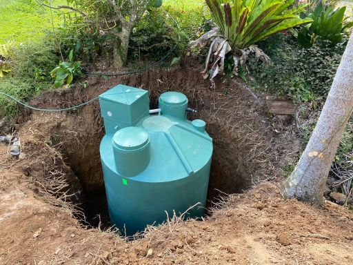 Green septic tank in a dug-out pit in a yard, with surrounding greenery and a tree.