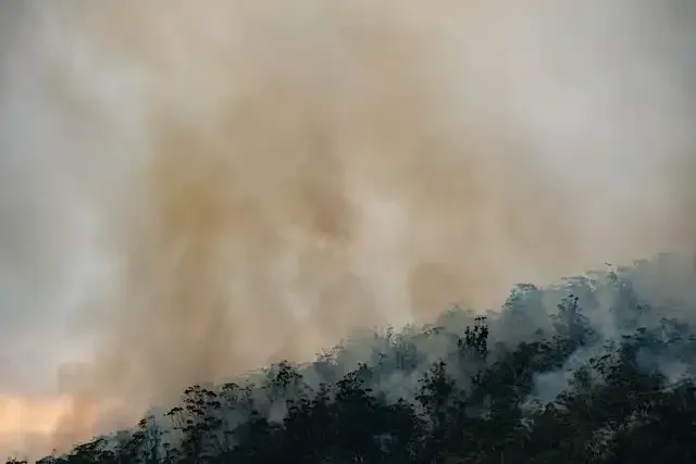 Forest fire, smoke billowing over a forested hillside.