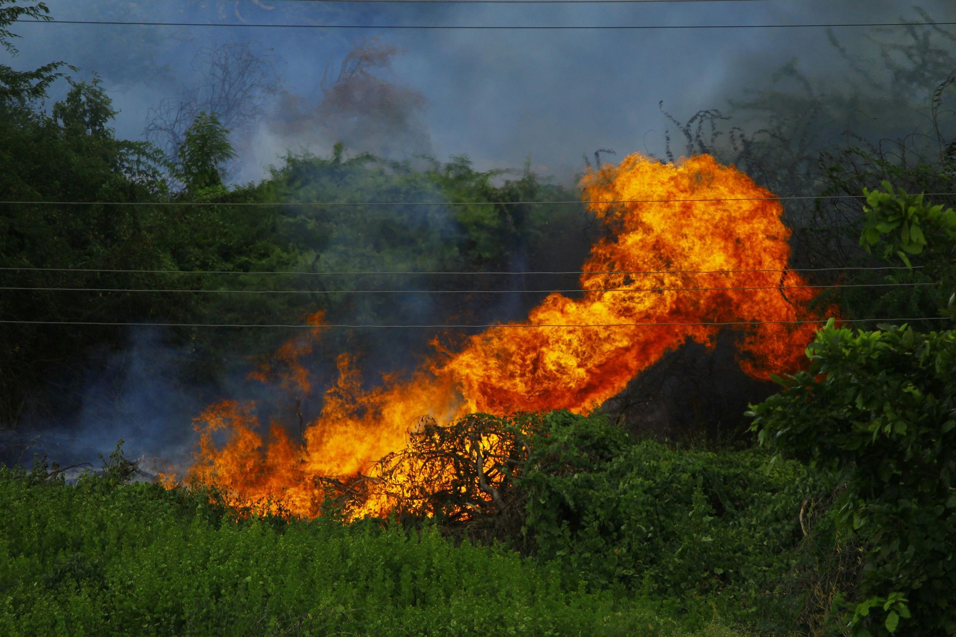 Fire erupts from brush and trees, flames and smoke visible.
