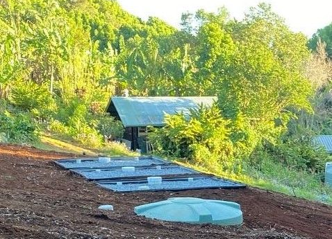 Green septic tank with a series of gray rectangular covers in a yard with lush vegetation and a small building.