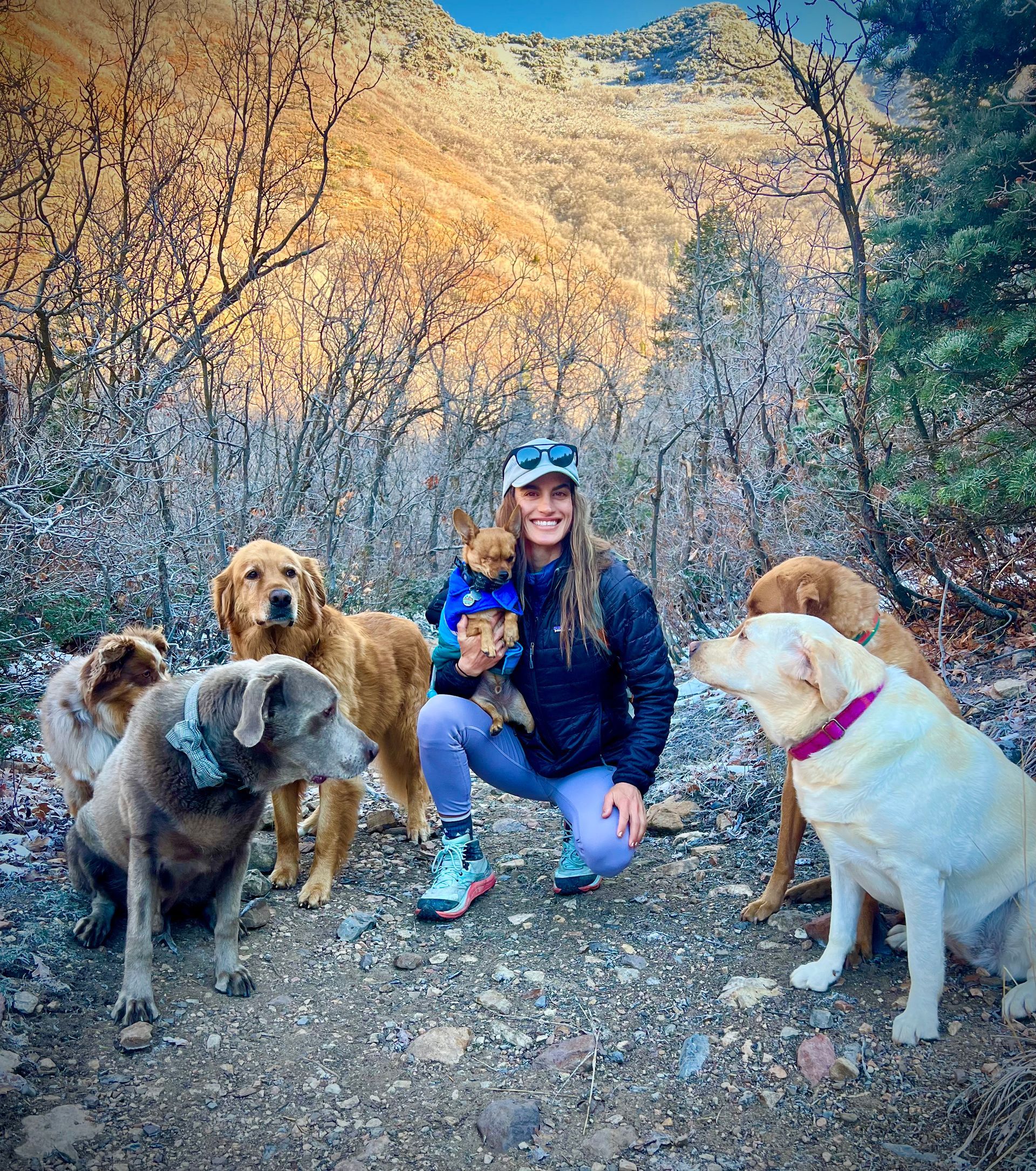 Group Dog Hikes