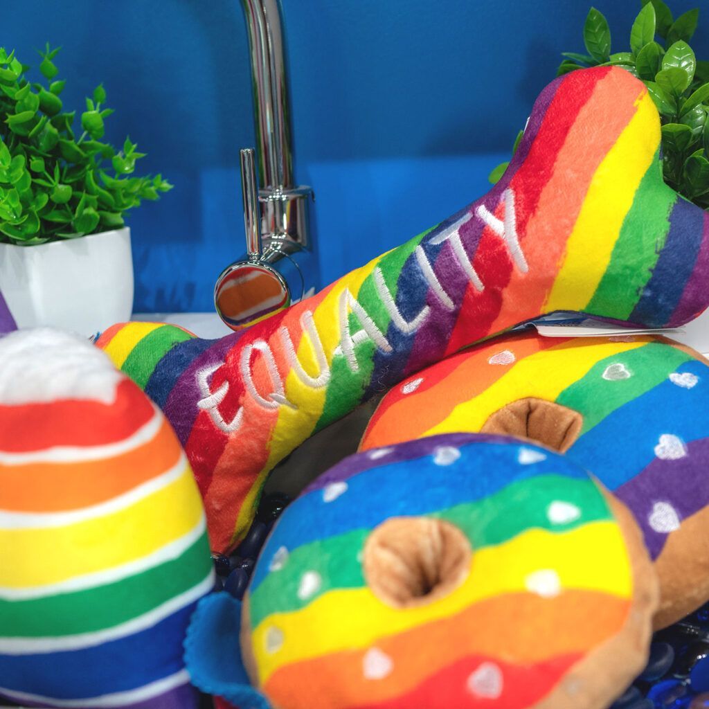 A rainbow dog bone with the word equality written on it