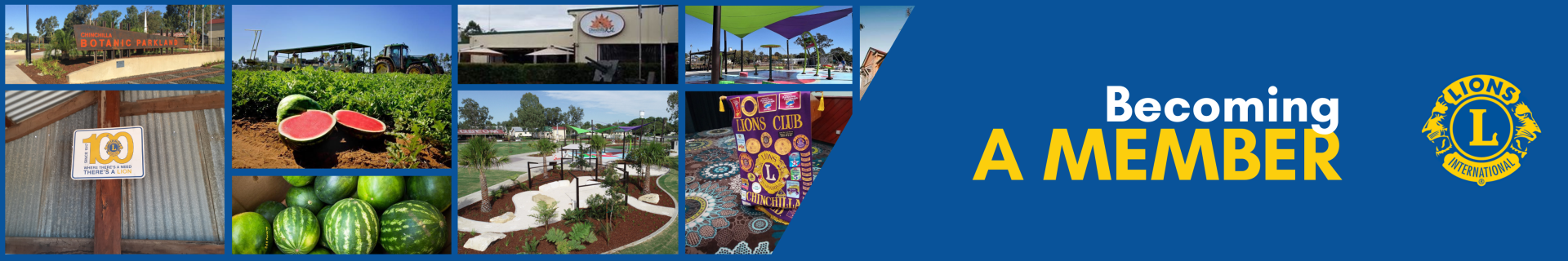 Lions Club Chinchilla Becoming a Member Banner