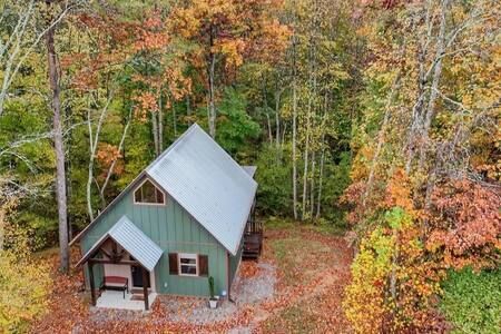 Small green cabin with a gray roof surrounded by autumn forest trees.