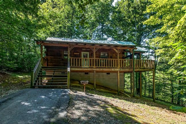 Wooden cabin with a porch on a wooded hillside, surrounded by dense green trees