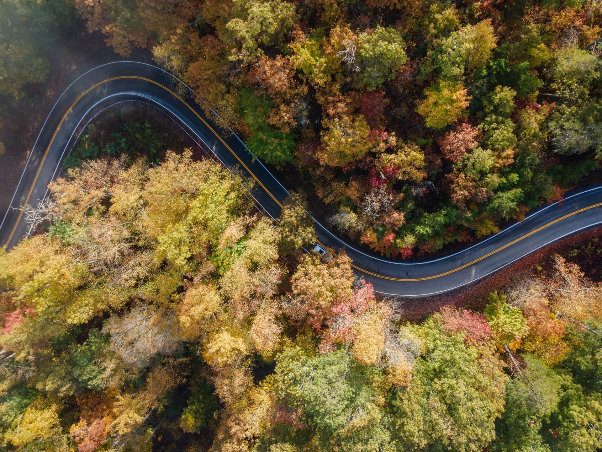 A winding road through dense autumn forest with colorful trees in red, gold, and green.