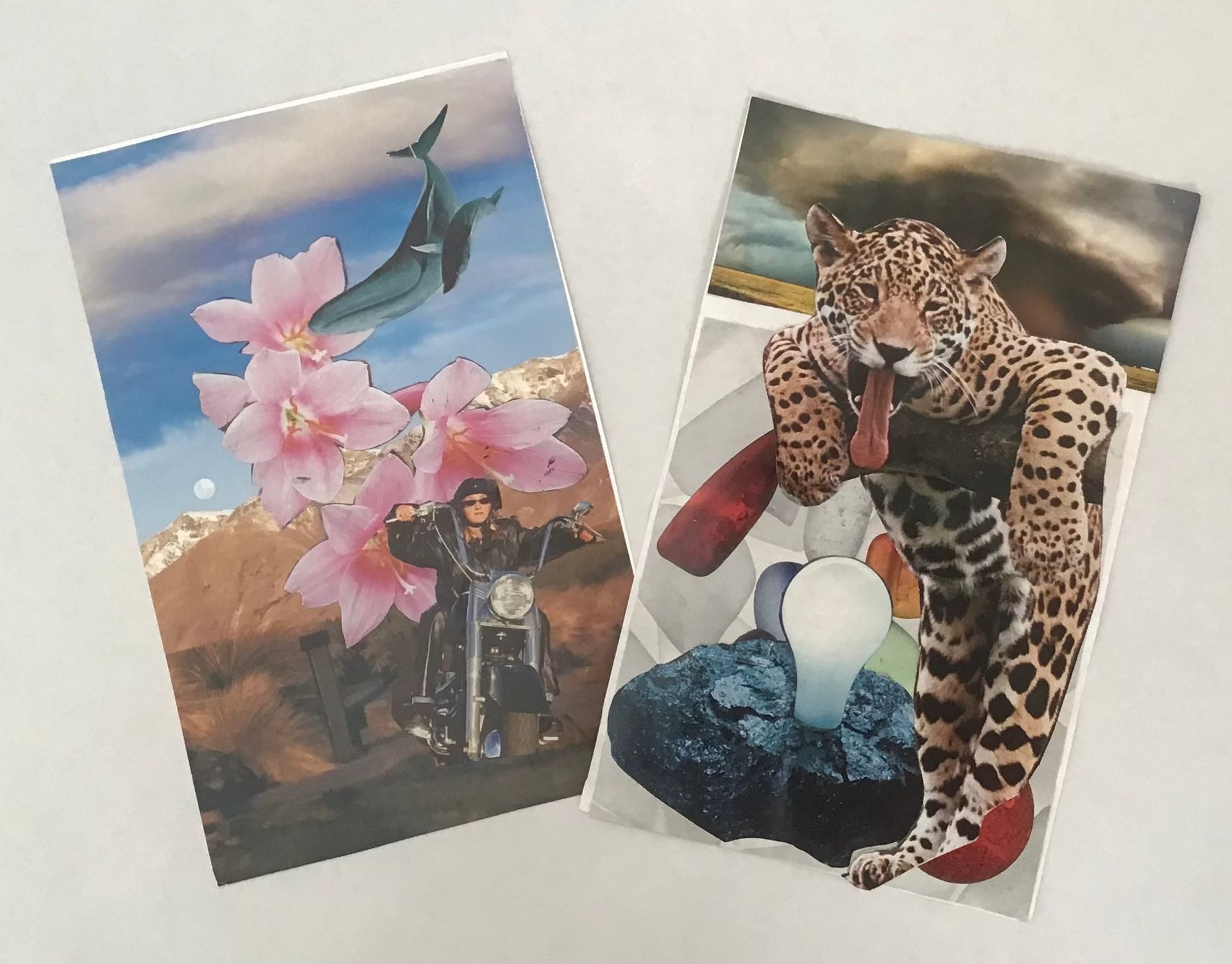 Two collage postcards: dolphin and flowers above biker on the left, jaguar and lightbulb on the right.