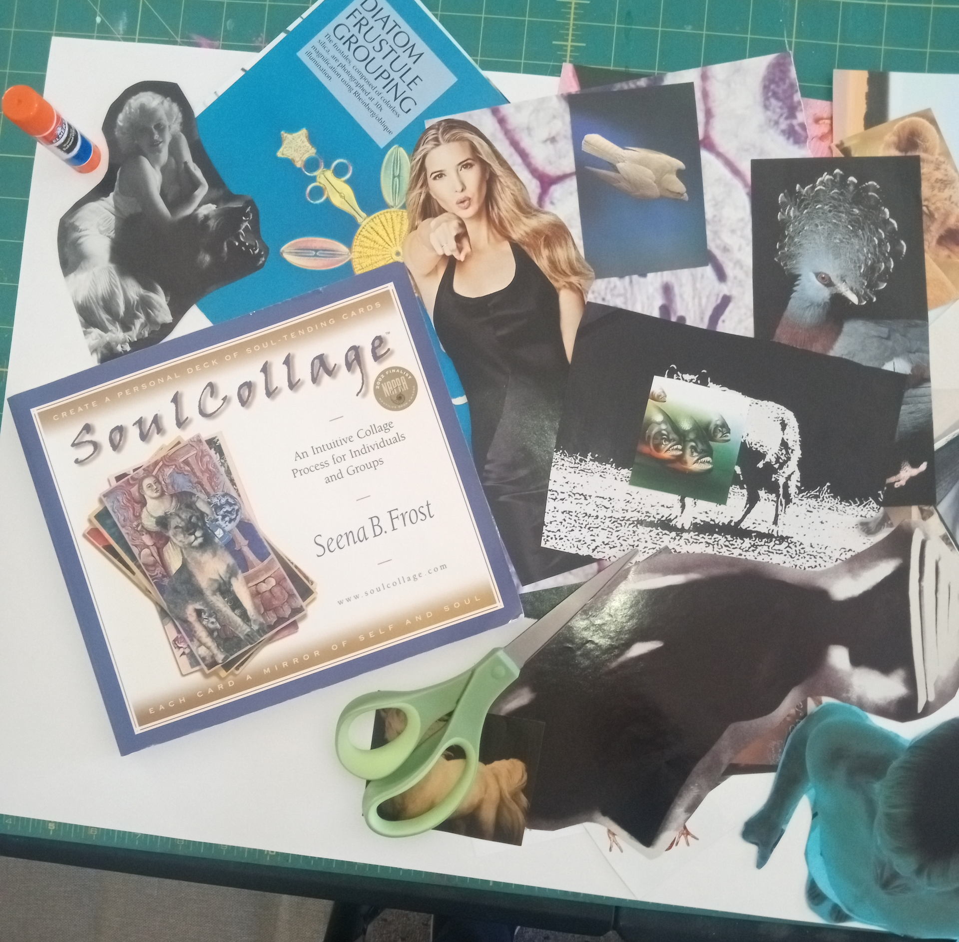 Collage materials on a white surface: a woman's image, scissors, book titled