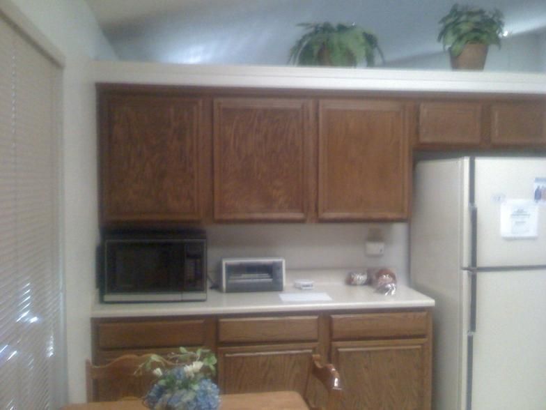 Kitchen cabinets with microwave, toaster, and refrigerator. Plants on top.