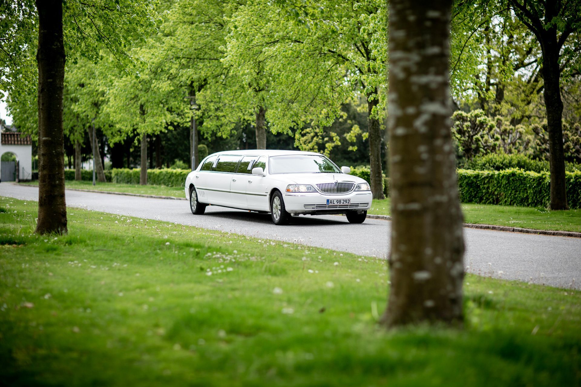 A white limousine is driving down a road surrounded by trees.
